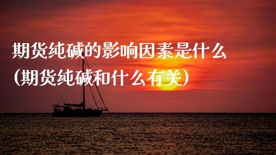 期货纯碱的影响因素是什么(期货纯碱和什么有关)_https://www.zztgc.com_黄金期货_第1张