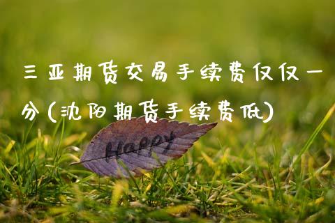 三亚期货交易手续费仅仅一分(沈阳期货手续费低)_https://www.zztgc.com_期货入门_第1张