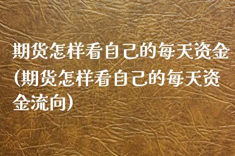 期货怎样看自己的每天资金(期货怎样看自己的每天资金流向)_https://www.zztgc.com_期货直播_第1张