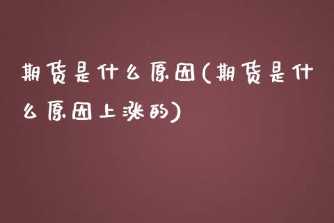 期货是什么原因(期货是什么原因上涨的)_https://www.zztgc.com_期货开户_第1张