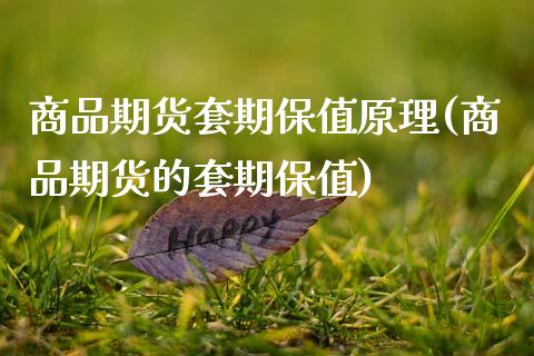 商品期货套期保值原理(商品期货的套期保值)_https://www.zztgc.com_原油期货_第1张