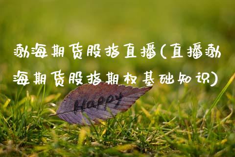 渤海期货股指直播(直播渤海期货股指期权基础知识)_https://www.zztgc.com_期货入门_第1张