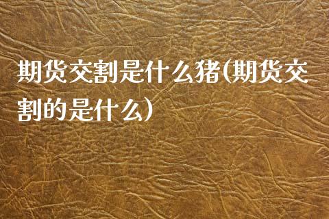 期货交割是什么猪(期货交割的是什么)_https://www.zztgc.com_原油期货_第1张