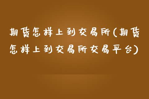 期货怎样上到交易所(期货怎样上到交易所交易平台)_https://www.zztgc.com_原油期货_第1张