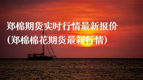 郑棉期货实时行情最新报价(郑棉棉花期货最新行情)_https://www.zztgc.com_期货行情_第1张