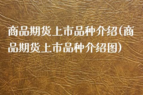 商品期货上市品种介绍(商品期货上市品种介绍图)_https://www.zztgc.com_期货行情_第1张