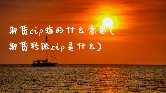 期货cip指的什么意思(期货转账cip是什么)_https://www.zztgc.com_黄金期货_第1张