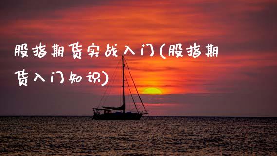 股指期货实战入门(股指期货入门知识)_https://www.zztgc.com_黄金期货_第1张