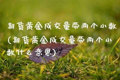 期货黄金成交量带两个小数(期货黄金成交量带两个小数什么意思)_https://www.zztgc.com_黄金期货_第1张