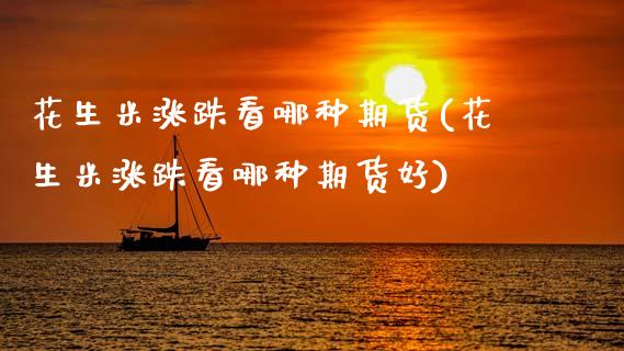 花生米涨跌看哪种期货(花生米涨跌看哪种期货好)_https://www.zztgc.com_黄金期货_第1张