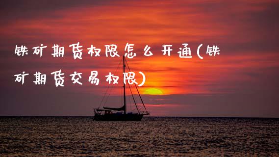 铁矿期货权限怎么开通(铁矿期货交易权限)_https://www.zztgc.com_期货行情_第1张
