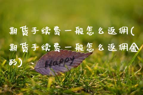 期货手续费一般怎么返佣(期货手续费一般怎么返佣金的)_https://www.zztgc.com_原油期货_第1张