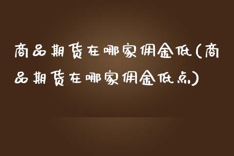 商品期货在哪家佣金低(商品期货在哪家佣金低点)_https://www.zztgc.com_期货行情_第1张