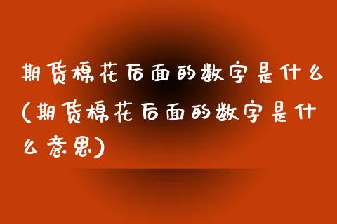 期货棉花后面的数字是什么(期货棉花后面的数字是什么意思)_https://www.zztgc.com_黄金期货_第1张
