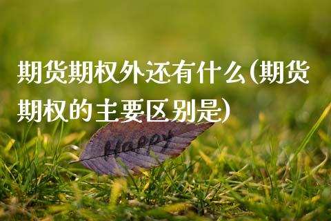 期货期权外还有什么(期货期权的主要区别是)_https://www.zztgc.com_期货入门_第1张