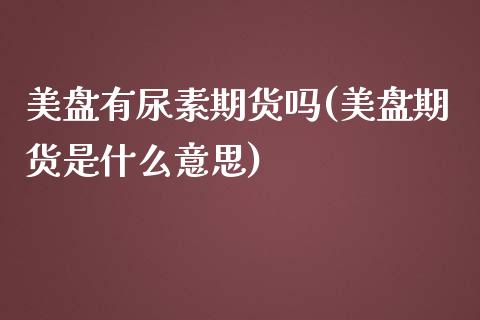 美盘有尿素期货吗(美盘期货是什么意思)_https://www.zztgc.com_期货入门_第1张