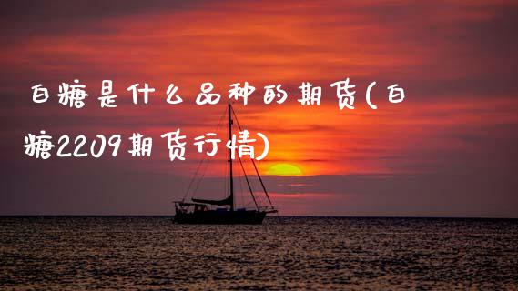 白糖是什么品种的期货(白糖2209期货行情)_https://www.zztgc.com_期货直播_第1张
