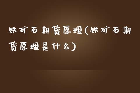 铁矿石期货原理(铁矿石期货原理是什么)_https://www.zztgc.com_原油期货_第1张