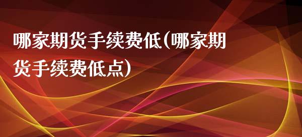 哪家期货手续费低(哪家期货手续费低点)_https://www.zztgc.com_期货直播_第1张
