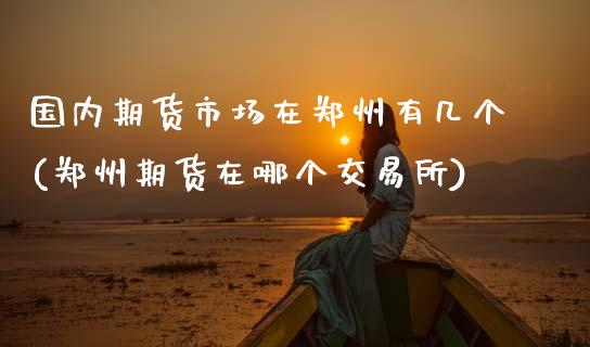 国内期货市场在郑州有几个(郑州期货在哪个交易所)_https://www.zztgc.com_黄金期货_第1张