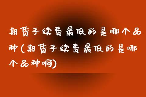 期货手续费最低的是哪个品种(期货手续费最低的是哪个品种啊)_https://www.zztgc.com_黄金期货_第1张