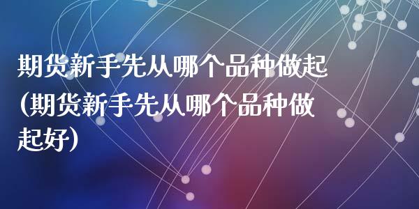 期货新手先从哪个品种做起(期货新手先从哪个品种做起好)_https://www.zztgc.com_期货行情_第1张
