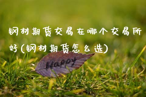 钢材期货交易在哪个交易所好(钢材期货怎么选)_https://www.zztgc.com_期货入门_第1张
