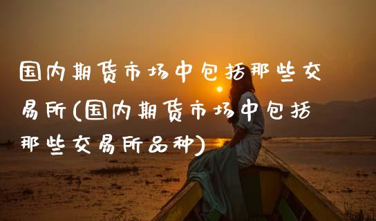 国内期货市场中包括那些交易所(国内期货市场中包括那些交易所品种)_https://www.zztgc.com_期货入门_第1张