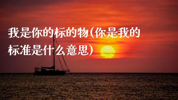 我是你的标的物(你是我的标准是什么意思)_https://www.zztgc.com_黄金期货_第1张