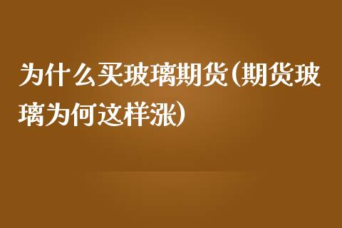为什么买玻璃期货(期货玻璃为何这样涨)_https://www.zztgc.com_原油期货_第1张