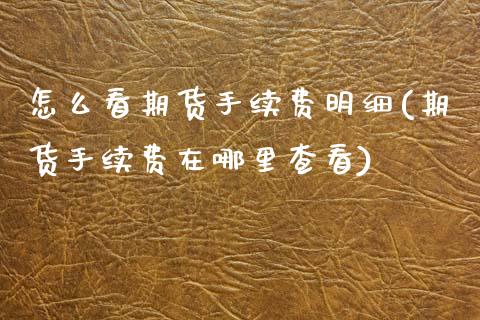 怎么看期货手续费明细(期货手续费在哪里查看)_https://www.zztgc.com_期货行情_第1张