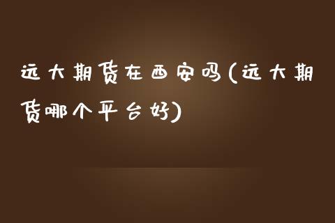 远大期货在西安吗(远大期货哪个平台好)_https://www.zztgc.com_原油期货_第1张