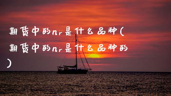 期货中的nr是什么品种(期货中的nr是什么品种的)_https://www.zztgc.com_期货行情_第1张