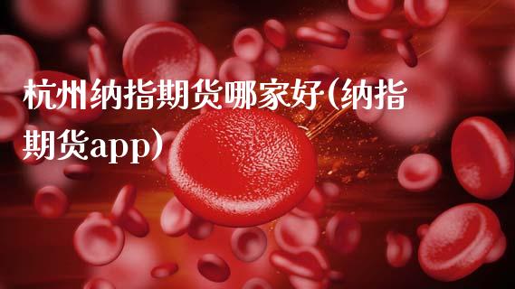 杭州纳指期货哪家好(纳指期货app)_https://www.zztgc.com_期货开户_第1张