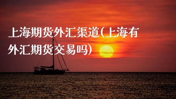 上海期货外汇渠道(上海有外汇期货交易吗)_https://www.zztgc.com_期货直播_第1张