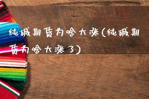 纯碱期货为啥大涨(纯碱期货为啥大涨了)_https://www.zztgc.com_原油期货_第1张