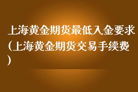 上海黄金期货最低入金要求(上海黄金期货交易手续费)_https://www.zztgc.com_期货入门_第1张