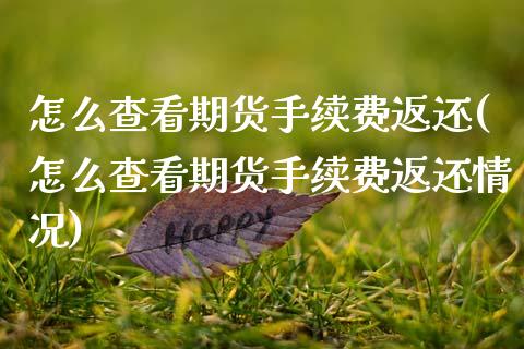 怎么查看期货手续费返还(怎么查看期货手续费返还情况)_https://www.zztgc.com_期货直播_第1张