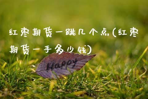 红枣期货一跳几个点(红枣期货一手多少钱)_https://www.zztgc.com_期货行情_第1张