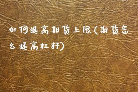 如何提高期货上限(期货怎么提高杠杆)_https://www.zztgc.com_期货入门_第1张