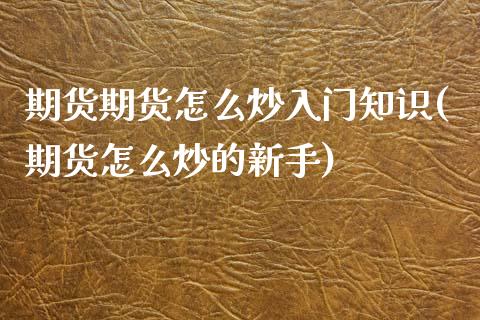 期货期货怎么炒入门知识(期货怎么炒的新手)_https://www.zztgc.com_期货直播_第1张
