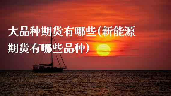 大品种期货有哪些(新能源期货有哪些品种)_https://www.zztgc.com_期货入门_第1张