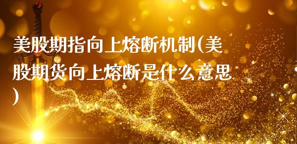 美股期指向上熔断机制(美股期货向上熔断是什么意思)_https://www.zztgc.com_期货入门_第1张