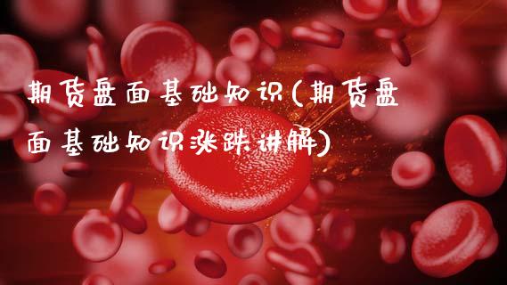 期货盘面基础知识(期货盘面基础知识涨跌讲解)_https://www.zztgc.com_期货行情_第1张