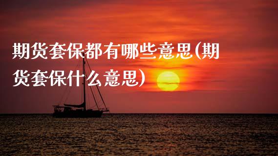 期货套保都有哪些意思(期货套保什么意思)_https://www.zztgc.com_黄金期货_第1张