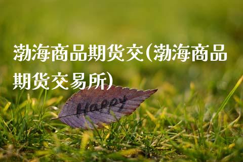 渤海商品期货交(渤海商品期货交易所)_https://www.zztgc.com_期货直播_第1张