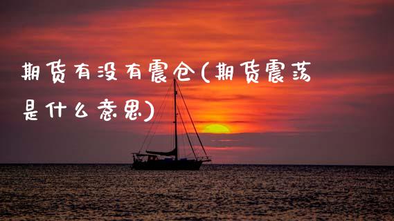 期货有没有震仓(期货震荡是什么意思)_https://www.zztgc.com_期货入门_第1张