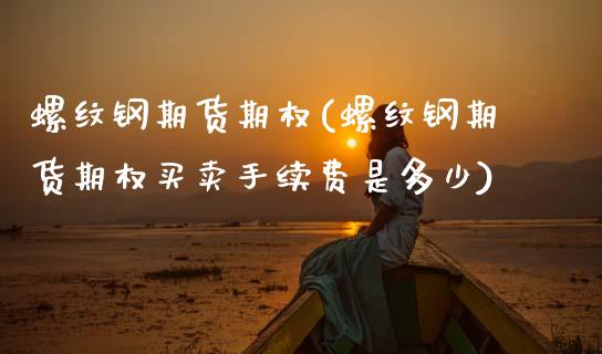 螺纹钢期货期权(螺纹钢期货期权买卖手续费是多少)_https://www.zztgc.com_期货直播_第1张