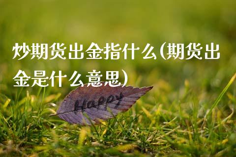 炒期货出金指什么(期货出金是什么意思)_https://www.zztgc.com_期货直播_第1张