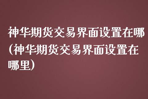 神华期货交易界面设置在哪(神华期货交易界面设置在哪里)_https://www.zztgc.com_期货入门_第1张